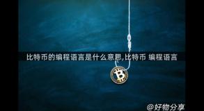 比特币的编程语言是什么意思,比特币 编程语言