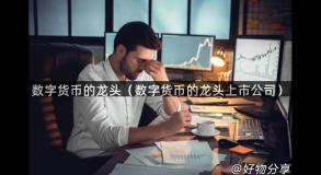 数字货币的龙头（数字货币的龙头上市公司）