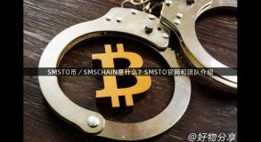 SMSTO币／SMSCHAIN是什么？SMSTO官网和团队介绍