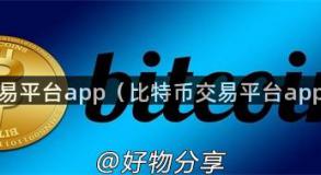 比特币交易平台app（比特币交易平台app哪个好）