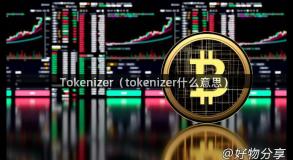 Tokenizer（tokenizer什么意思）