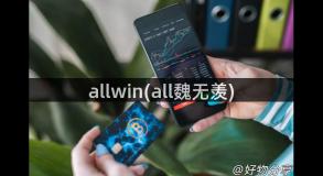 allwin(all魏无羡)