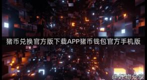 猪币兑换官方版下载APP猪币钱包官方手机版