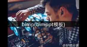 bimp(bimppt模板)