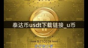 泰达币usdt下载链接_u币