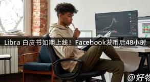 Libra 白皮书如期上线！Facebook发币后48小时