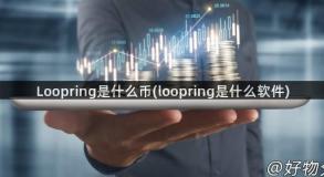 Loopring是什么币(loopring是什么软件)