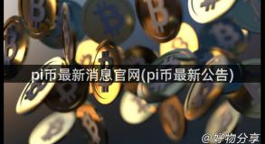 pi币最新消息官网(pi币最新公告)