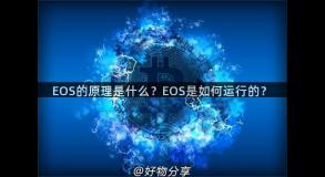 EOS的原理是什么？EOS是如何运行的？