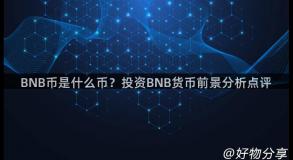 BNB币是什么币？投资BNB货币前景分析点评