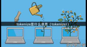 tokenize是什么意思（tokenizer）