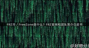 FRZ币／FreeZone是什么？FRZ官网和团队简介白皮书