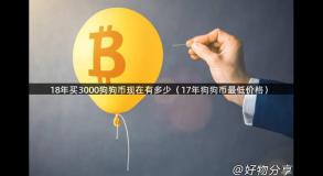 18年买3000狗狗币现在有多少（17年狗狗币最低价格）