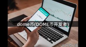 dome币(DOME币开发者)