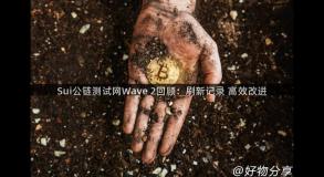 Sui公链测试网Wave 2回顾：刷新记录 高效改进