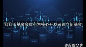 狗狗币基金会宣布为核心开发者设立新基金