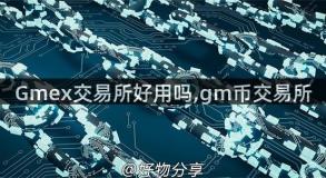 Gmex交易所好用吗,gm币交易所