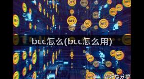 bcc怎么(bcc怎么用)