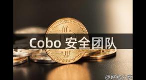 Cobo 安全团队