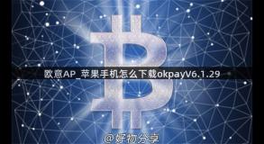 欧意AP_苹果手机怎么下载okpayV6.1.29