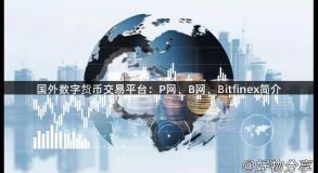 国外数字货币交易平台：P网、B网、Bitfinex简介