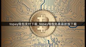 topay钱包支付下载_topay钱包免费最新版下载