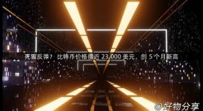 死猫反弹？ 比特币价格接近 23,000 美元，创 5 个月新高