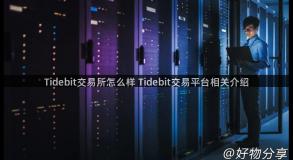 Tidebit交易所怎么样 Tidebit交易平台相关介绍