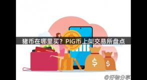 猪币在哪里买？PIG币上架交易所盘点