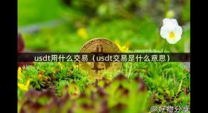 usdt用什么交易（usdt交易是什么意思）