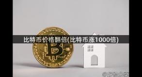 比特币价格翻倍(比特币涨1000倍)