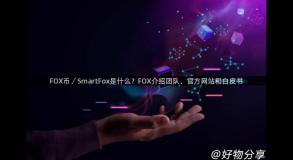 FOX币／SmartFox是什么？FOX介绍团队、官方网站和白皮书