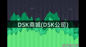 DSK商城(DSK公司)