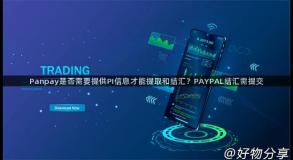 Panpay是否需要提供PI信息才能提取和结汇？PAYPAL结汇需提交