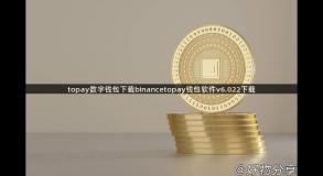 topay数字钱包下载binancetopay钱包软件v6.022下载