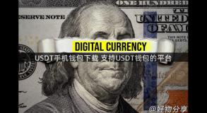 USDT手机钱包下载 支持USDT钱包的平台