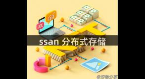 ssan 分布式存储