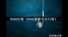 BNB价格（BNB最新今日行情）