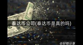 泰达币公司(泰达币是真的吗)