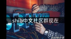 shib中文社区群现在