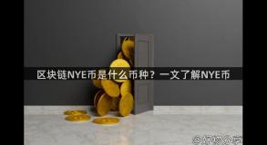 区块链NYE币是什么币种？一文了解NYE币