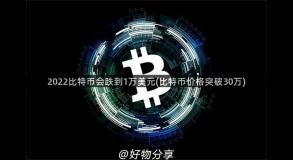 2022比特币会跌到1万美元(比特币价格突破30万)