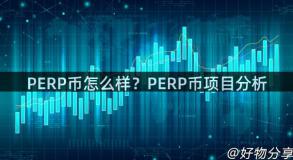 PERP币怎么样？PERP币项目分析