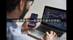 rvn数字货币(rvn数字货币减半时间表)