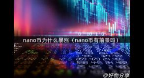 nano币为什么暴涨（nano币有前景吗）