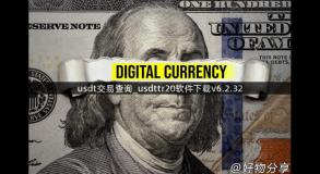 usdt交易查询_usdttr20软件下载v6.2.32