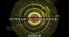 PAY币怎么样？PAY币项目的优势在哪？