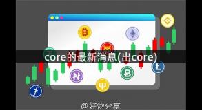 core的最新消息(出core)