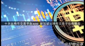 十大比特币交易平台app_新加坡比特币交易平台有哪些