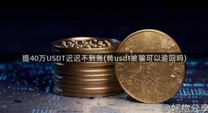 提40万USDT迟迟不到账(转usdt被骗可以追回吗)